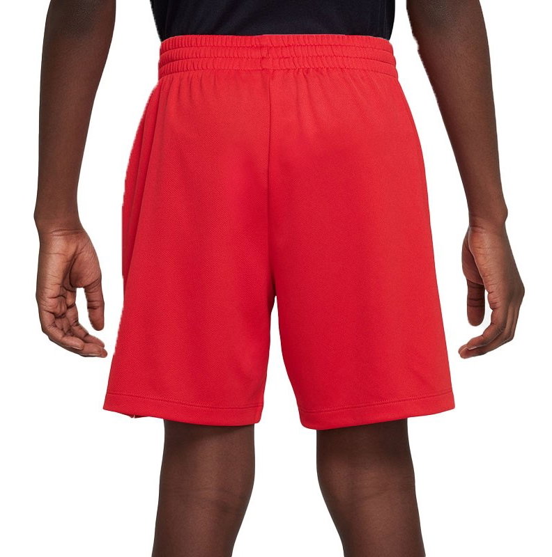 Nike Graphic Training Boys' Short