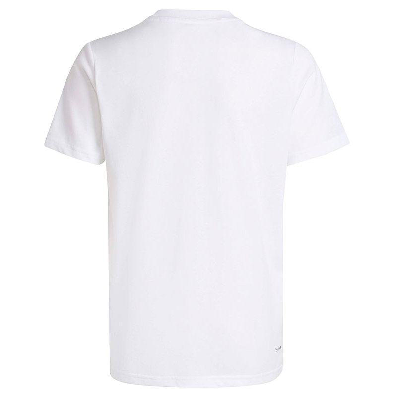 adidas Graphic Boy's Tennis Tee