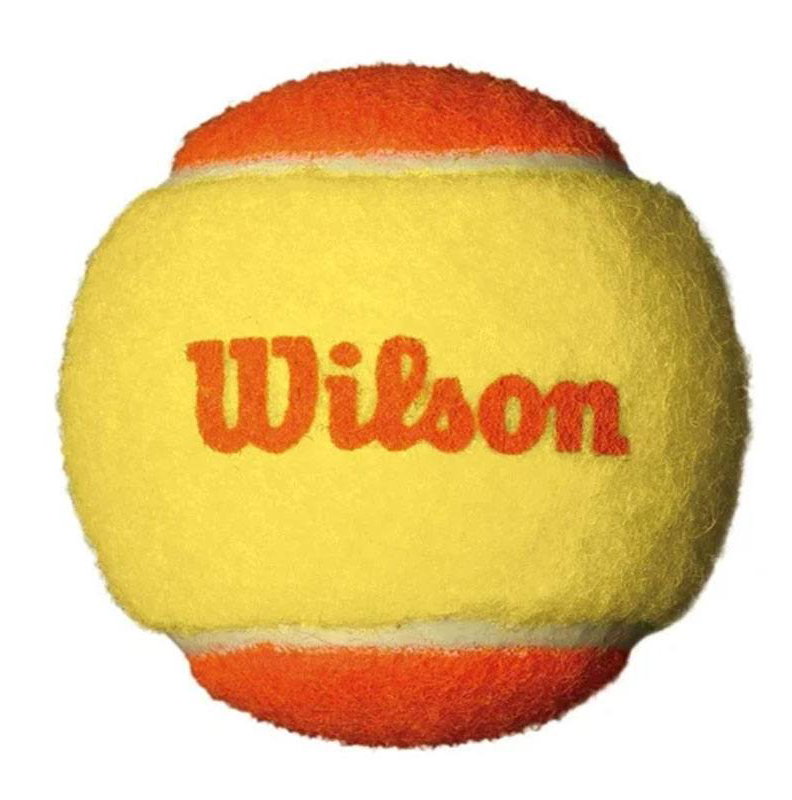 US Open Orange Tournament Balls case